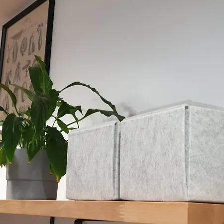 Apartament Pancake Piotrkowska