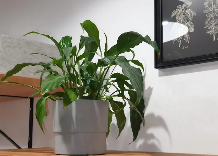 Apartamento Pancake Piotrkowska Free Parking Łódź