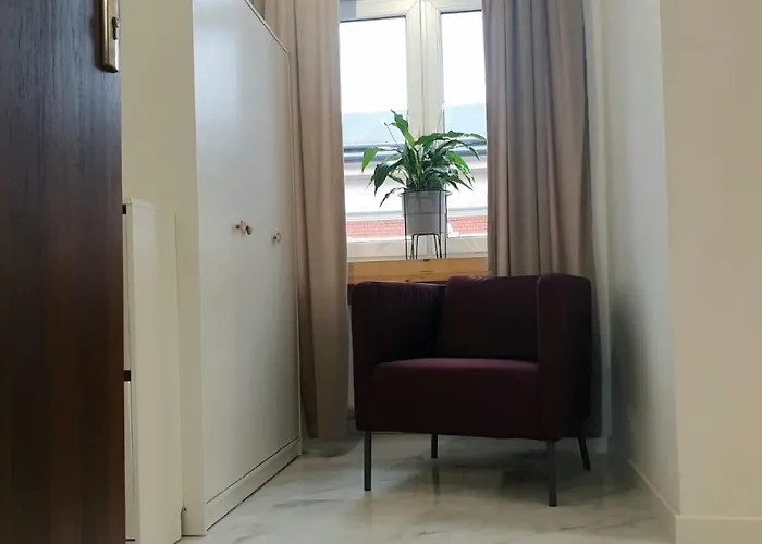 Pancake Piotrkowska Free Parking Łódź